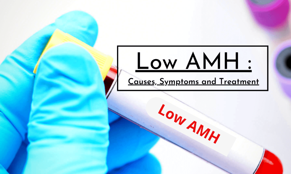 Low AMH : Causes, Symptoms and Treatment