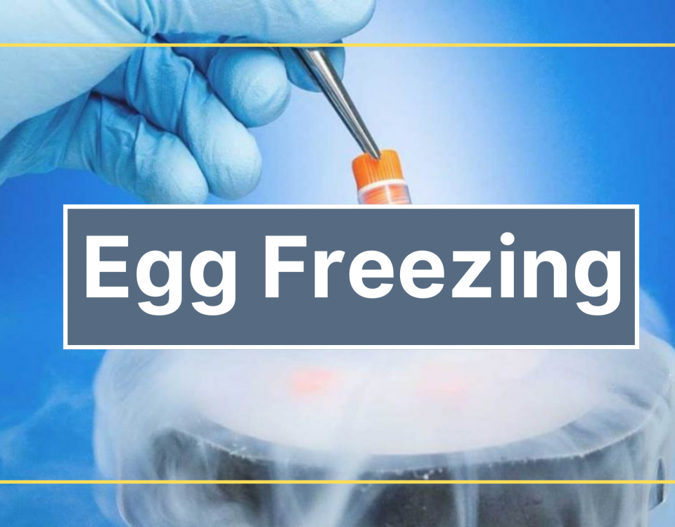 Egg Freezing Procedure